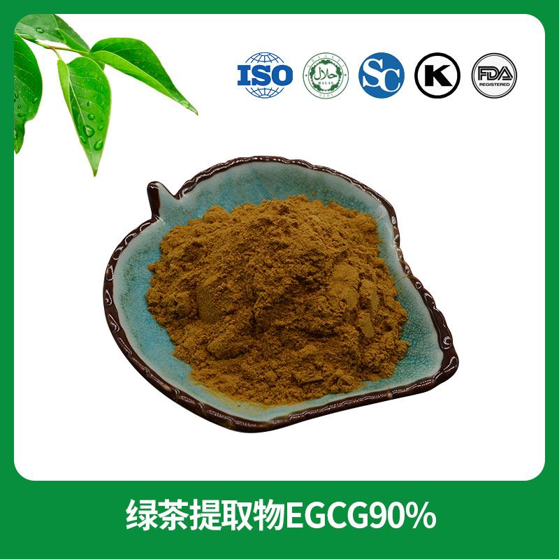 绿茶提取物EGCG90%